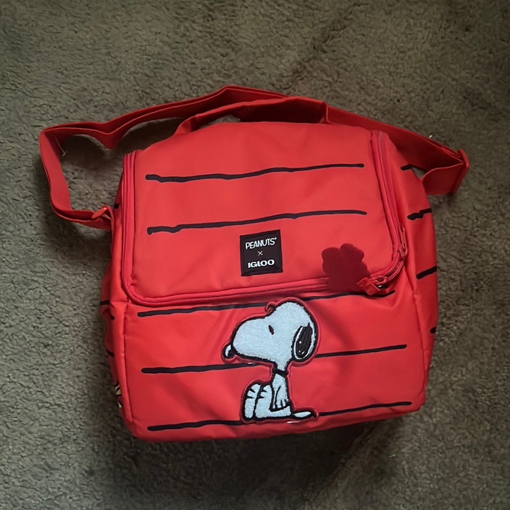 Peanuts/Snoopy Igloo collab